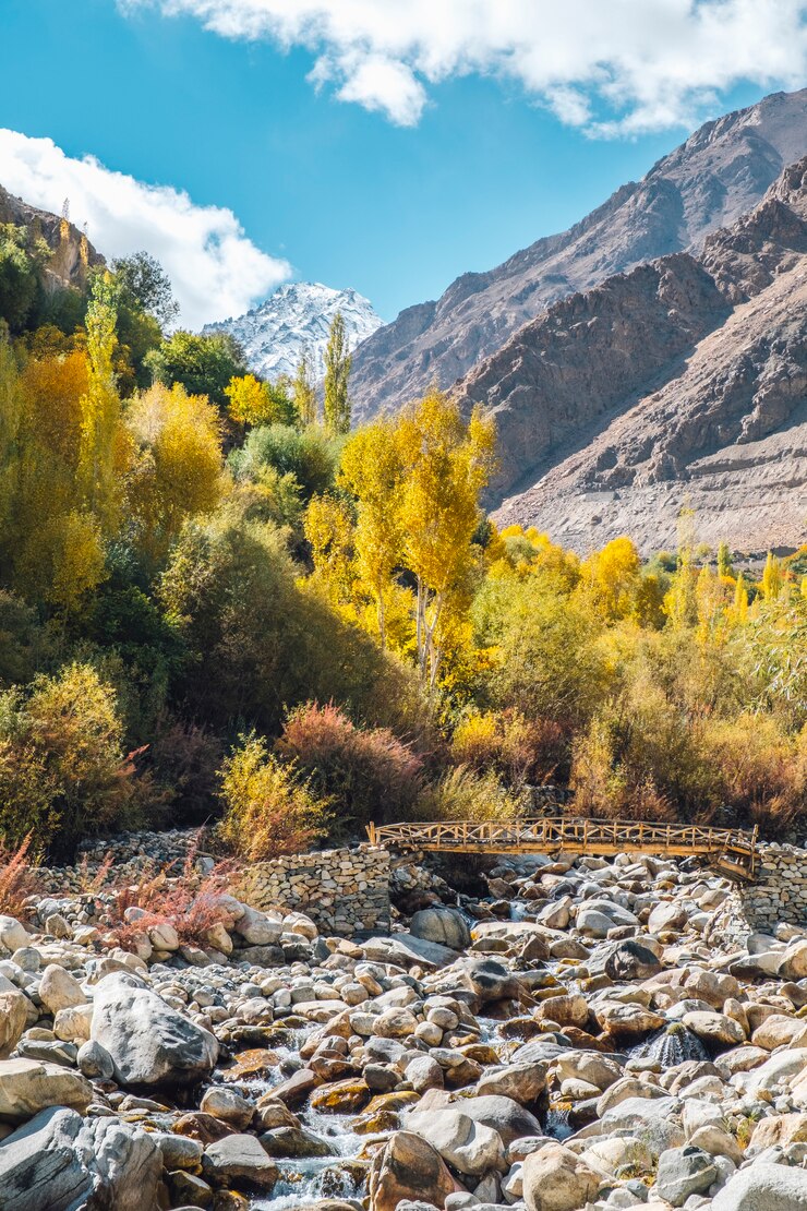 Paisaje Argentino