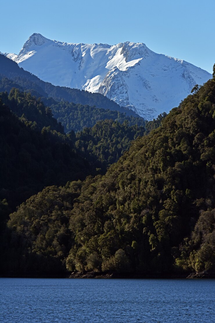 Patagonia